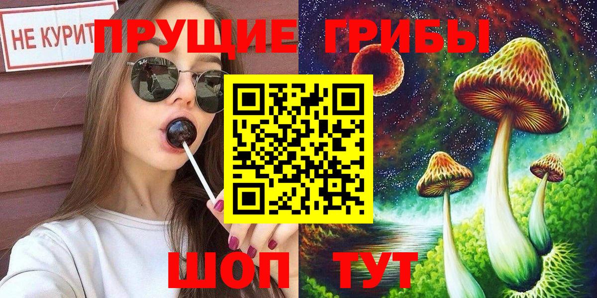 Ачхой-Мартан  Галлюциногенные грибы GOLDEN TEACHER  Вход с VPN 