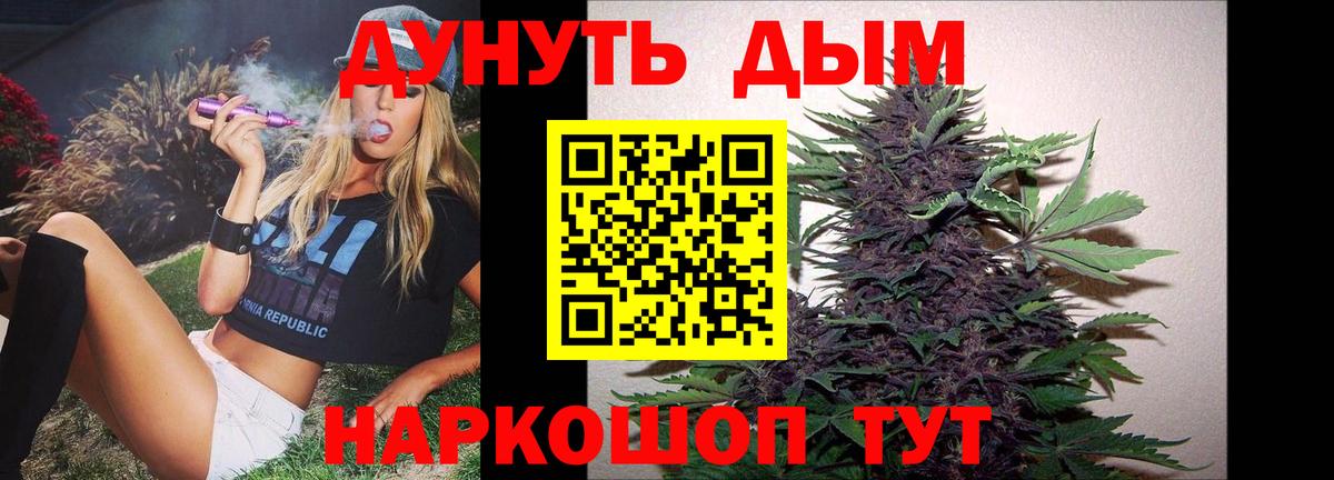 Конопля ГИДРОПОН  Каннабис гибрид  Ачхой-Мартан  Конопля конопля  Канабис SATIVA & INDICA  Вход с VPN 